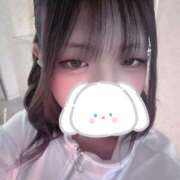 ヒメ日記 2025/10/30 23:40 投稿 カルミア 飾窓