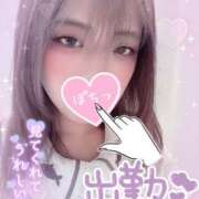 ヒメ日記 2025/11/09 12:22 投稿 カルミア 飾窓