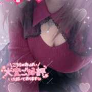 ヒメ日記 2025/11/12 13:14 投稿 カルミア 飾窓