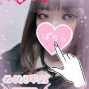 ヒメ日記 2025/11/20 12:00 投稿 カルミア 飾窓