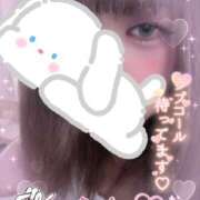 ヒメ日記 2025/11/23 10:46 投稿 カルミア 飾窓