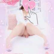 ヒメ日記 2025/11/29 13:19 投稿 カルミア 飾窓