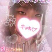 ヒメ日記 2025/12/03 14:23 投稿 カルミア 飾窓