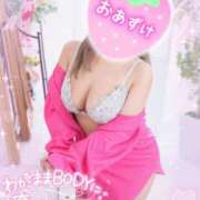 ヒメ日記 2025/12/06 12:00 投稿 カルミア 飾窓