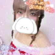 ヒメ日記 2025/12/09 10:00 投稿 カルミア 飾窓