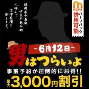 ヒメ日記 2026/06/12 11:41 投稿 かほ 沼津人妻花壇