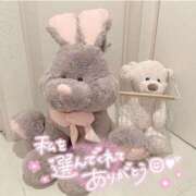 ヒメ日記 2025/11/30 02:08 投稿 るな 熟女総本店 堺東店