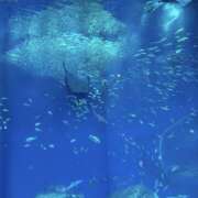 ヒメ日記 2025/11/27 19:03 投稿 八代なこ 癒されるワイフ