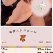 ヒメ日記 2025/12/21 23:26 投稿 八代なこ 癒されるワイフ