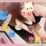 ヒメ日記 2025/12/28 12:06 投稿 八代なこ 癒されるワイフ