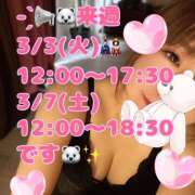 ヒメ日記 2026/02/27 02:38 投稿 八代なこ 癒されるワイフ