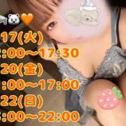 ヒメ日記 2026/03/16 10:50 投稿 八代なこ 癒されるワイフ