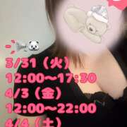 ヒメ日記 2026/03/27 13:59 投稿 八代なこ 癒されるワイフ