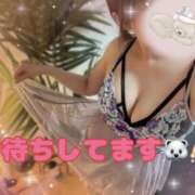 ヒメ日記 2026/08/29 09:09 投稿 八代なこ 癒されるワイフ