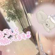 ヒメ日記 2026/10/10 10:13 投稿 八代なこ 癒されるワイフ