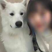 ヒメ日記 2025/10/03 00:46 投稿 あやね【9/28デビュー】 Aroma de TOKYO 三河店（岡崎・豊田・安城）