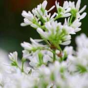 ヒメ日記 2025/10/14 14:05 投稿 サエ ドMな奥さん 日本橋店