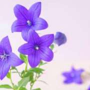 ヒメ日記 2025/10/14 15:42 投稿 サエ ドMな奥さん 日本橋店