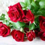 ヒメ日記 2025/10/25 13:05 投稿 サエ ドMな奥さん 日本橋店