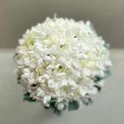 ヒメ日記 2025/11/06 13:21 投稿 サエ ドMな奥さん 日本橋店