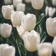 ヒメ日記 2026/01/15 14:11 投稿 サエ ドMな奥さん 日本橋店