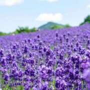 ヒメ日記 2026/01/20 13:37 投稿 サエ ドMな奥さん 日本橋店