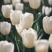 ヒメ日記 2026/03/15 17:39 投稿 サエ ドMな奥さん 日本橋店