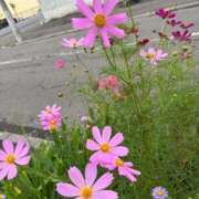 ヒメ日記 2025/10/01 14:43 投稿 音海なな お姉さんLABO -艶-