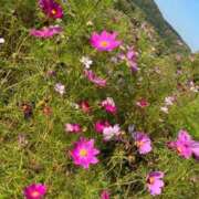 ヒメ日記 2025/10/05 11:48 投稿 音海なな お姉さんLABO -艶-