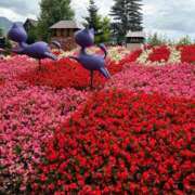 ヒメ日記 2025/10/09 14:58 投稿 音海なな お姉さんLABO -艶-