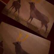 ヒメ日記 2025/11/13 16:18 投稿 音海なな お姉さんLABO -艶-