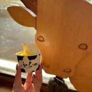 ヒメ日記 2025/11/18 22:48 投稿 音海なな お姉さんLABO -艶-