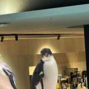 ヒメ日記 2025/11/28 13:48 投稿 音海なな お姉さんLABO -艶-