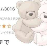 ヒメ日記 2026/01/29 12:19 投稿 音海なな お姉さんLABO -艶-