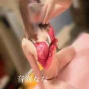 ヒメ日記 2026/03/23 10:28 投稿 音海なな お姉さんLABO -艶-