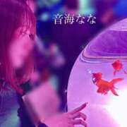 ヒメ日記 2026/05/03 13:31 投稿 音海なな お姉さんLABO -艶-