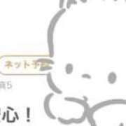 ヒメ日記 2026/09/05 12:08 投稿 音海なな お姉さんLABO -艶-