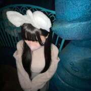 ヒメ日記 2025/12/28 09:01 投稿 みあ JAPAN CLUB BUNNY LOUNGE