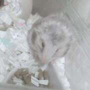 ヒメ日記 2025/10/08 10:44 投稿 めい 出会い系人妻ネットワーク 春日部〜岩槻編