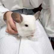 めい めいです🐑 出会い系人妻ネットワーク 春日部〜岩槻編