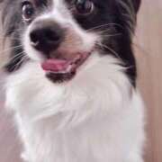 めい こんばんわ 出会い系人妻ネットワーク 春日部〜岩槻編