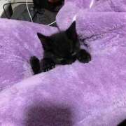 めい おひさしぶりです😌 出会い系人妻ネットワーク 春日部〜岩槻編