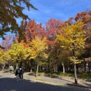 ヒメ日記 2025/11/23 16:01 投稿 森川 りこ 人妻セレブ宮殿