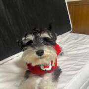 ヒメ日記 2025/12/06 23:56 投稿 いく スパーク日本橋