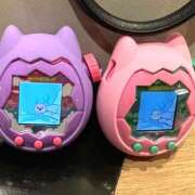 ヒメ日記 2025/12/08 17:47 投稿 ほたる 土浦ハッピーマットパラダイス