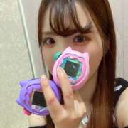 ヒメ日記 2025/12/10 09:27 投稿 ほたる 土浦ハッピーマットパラダイス