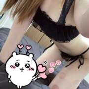 ヒメ日記 2026/01/28 07:47 投稿 ほたる 土浦ハッピーマットパラダイス