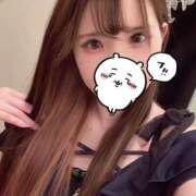 ヒメ日記 2026/01/28 09:17 投稿 ほたる 土浦ハッピーマットパラダイス