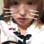 ヒメ日記 2025/10/08 17:36 投稿 みれい☆Gold 岡山人妻デリヘルLipKiss