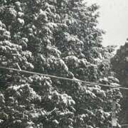 ヒメ日記 2026/02/08 15:41 投稿 はる モアグループ神栖人妻花壇